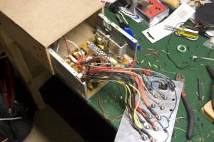 IMGP5380 Guts!